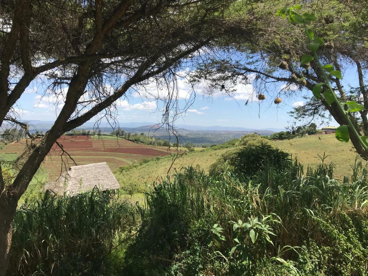 Rhotia Valley Tented Lodge And Children'S Home 卡拉图 外观 照片