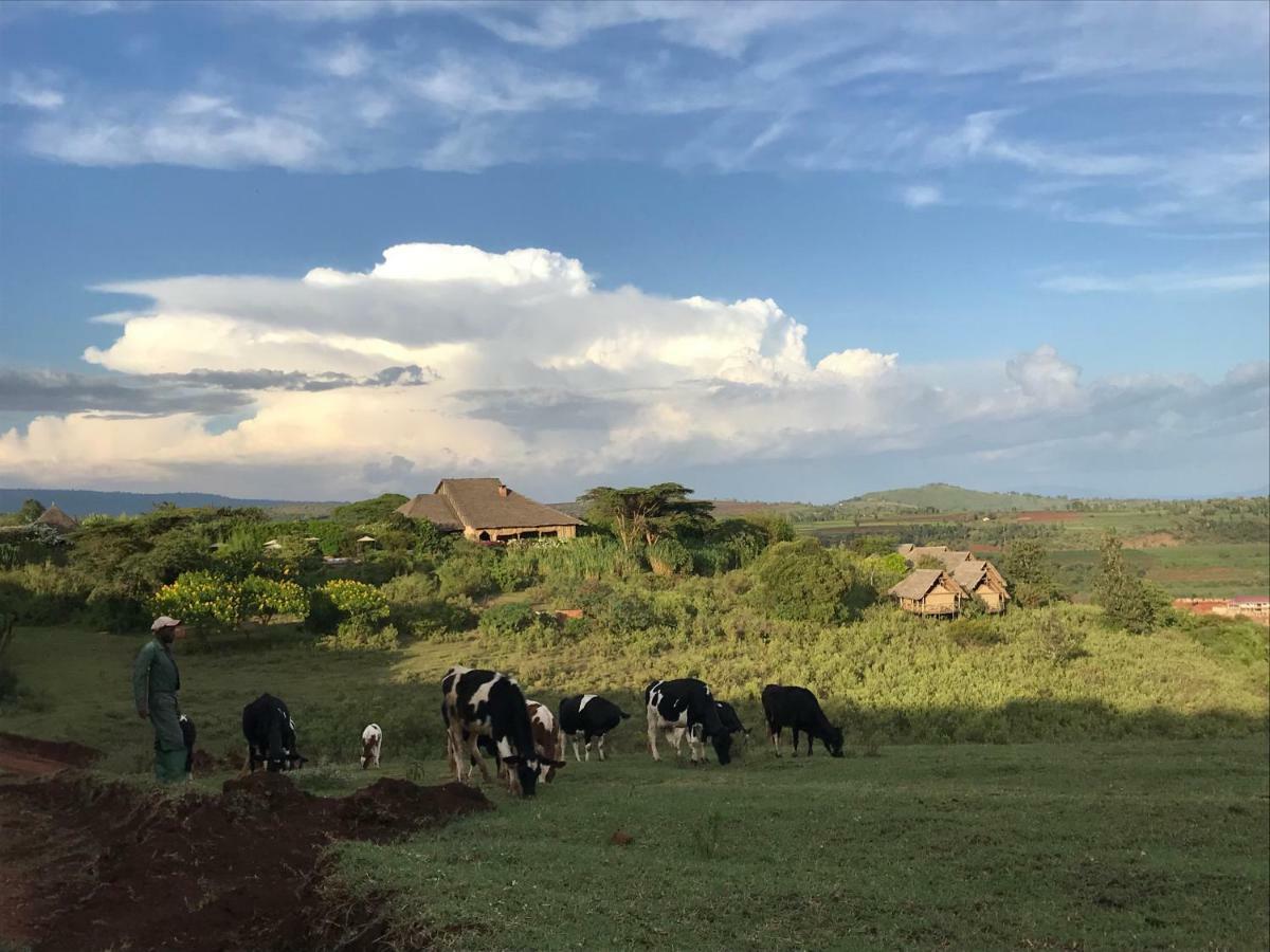 Rhotia Valley Tented Lodge And Children'S Home 卡拉图 外观 照片